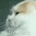 沙雕猫 猫咪 猫 可爱猫 猫表情包 猫咪表情包 小猫