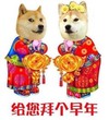 拜年 给您拜个拜年 给长辈拜年 本宝宝给你拜年来了 过年好 压岁钱