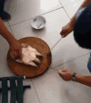 残忍 王八 乌龟