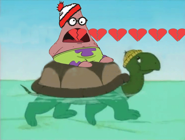 海龟 友谊 爱 hearts 爱心