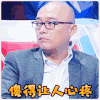 孟非 傻得让人心疼 最强大脑