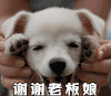 谢谢老板娘