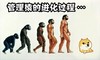 管理猿的进化过程 狗狗 动画 进化