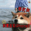 萌宠 别拦我我要去买iPhone8 汪星人 划水 soogif soogif出品