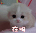 soogif soogif出品 在吗 撩