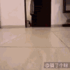 喵星人 萌翻 小奶猫 奔跑