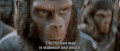 猩球崛起 电影的特性 电影 人猿星球
