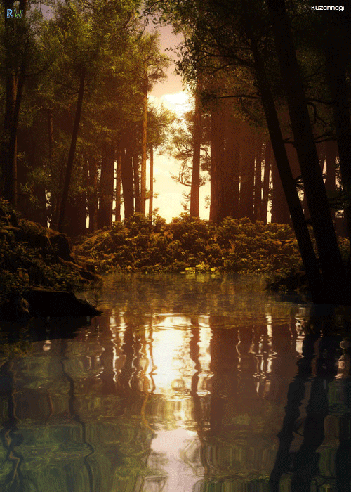 河水 倒影 丛林 美丽