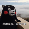 种种谣言 过眼云烟 熊本熊 可爱