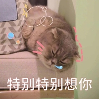 萌宠 猫星人 特别特别想你 害羞 呆萌 可爱
