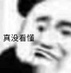 暴漫 熊猫头 真没看懂 无奈 搞怪 逗