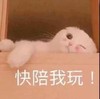 萌宠 猫星人 快陪我玩 期待 呆萌 可爱