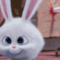 小白兔 蓝眼睛 兔子牙 我要醉了