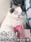 猫咪 走开 你们这些讨厌的钞票 人民币