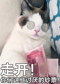 猫咪 走开 你们这些讨厌的钞票 人民币