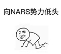 向NARS势力低头 斗图 搞笑 猥琐 跪下