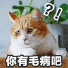 你有毛病吧 猫 可爱 呆萌