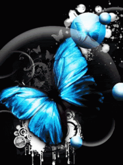 蝴蝶 butterfly animal 图像