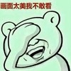画面太美我不敢看 捂脸 不忍直视 恶搞