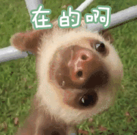 在