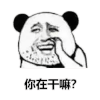 暴漫 熊猫头 你在干嘛 好奇 搞怪 逗