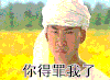 得罪 你得罪我了 尔康