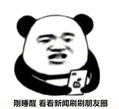 看看手机 搞笑 蠢萌 逗 熊猫头