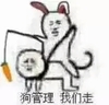 狗管理我们走