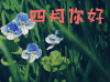 四月你好