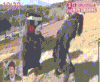 熊本熊 搞怪 可爱 调戏