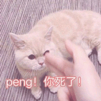 萌宠 猫咪 猫 喵星人 peng 嘭 你死了 搞怪