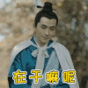 知否知否应是绿肥红瘦 知否 朱一龙 齐衡 在干嘛呢 蒙圈 soogif soogif出品