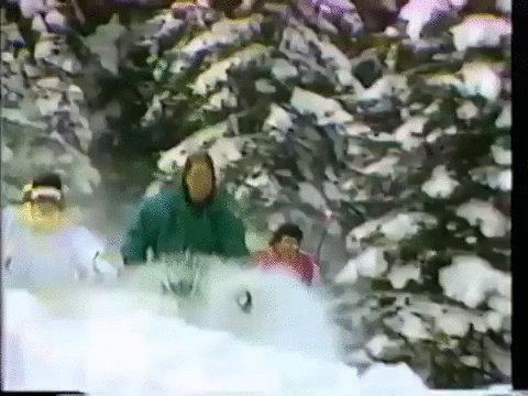滑雪 80年代 树林 户外运动 酷 skiing