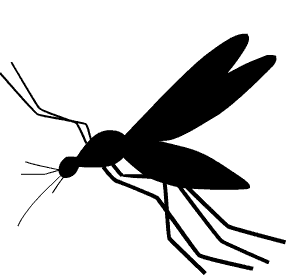 蚊子 动漫 翅膀 飞行