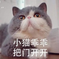 猫咪 大眼睛 小猫乖乖 把门开开