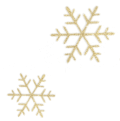 花瓣 雪花 漂亮 嘚瑟