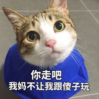 猫咪 可爱 呆萌 斗图 你走吧我妈不让我跟傻子玩 讯飞