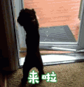 soogif soogif出品 来啦 开门