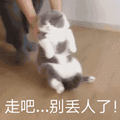 丢人 走吧 猫