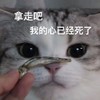 萌宠 喵星人 拿走吧 我的心已经死了 搞怪 逗