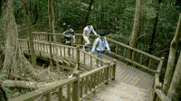 tfboys 爬山 美景 吉他 拼搏 三小只 努力 明星爱豆