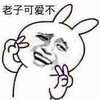 金馆长 兔子 老司机 老子可爱不