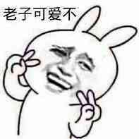 金馆长 兔子 老司机 老子可爱不