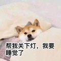 狗狗 萌宠 盖被子 帮我关下灯我要睡觉了