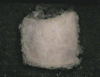 动物  抖动  牢骚  什么