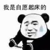 暴漫 熊猫头 我是自愿起床的 无奈 搞怪 逗
