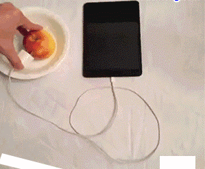 水果 充电 手机 发电