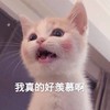 萌宠 猫星人 我真的好羡慕啊 开心 呆萌 可爱