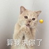 萌宠 猫星人 算我求你了 拜托 呆萌 可爱