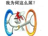为何这么屌 斗图 搞笑 猥琐